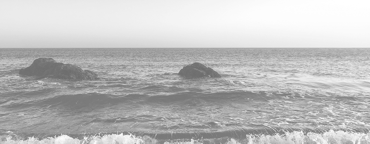 Agile Product Development